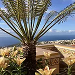 Vv Estrella Del Norte Apart Otel 3*